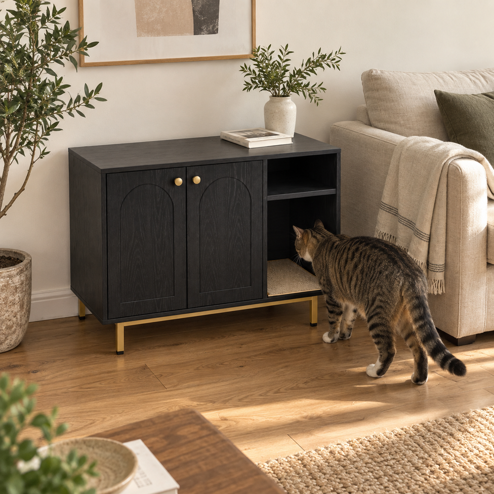 Scène naturelle : un chat découvre l’entrée d’Alcôve dans un salon.