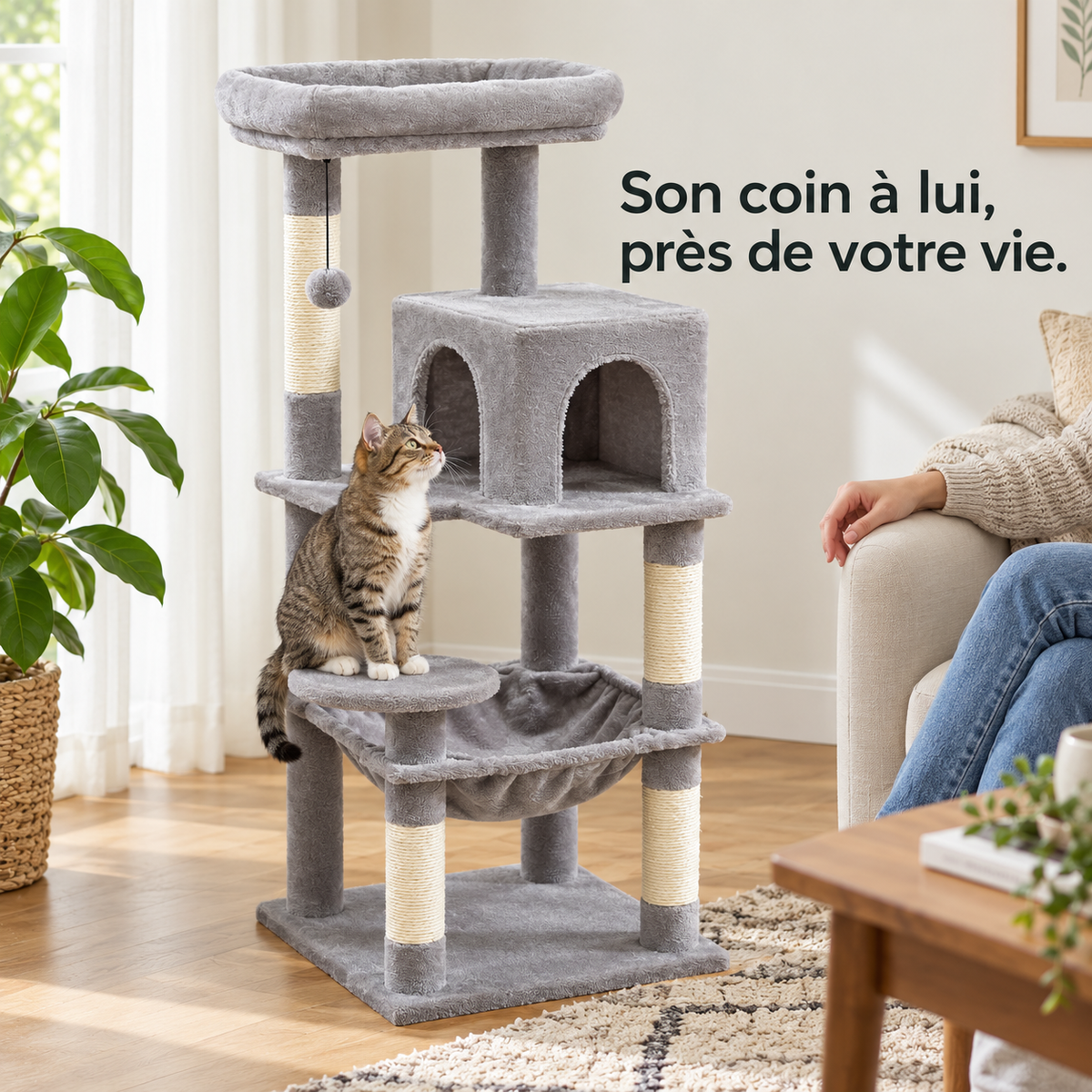 Belvédère Haut : Arbre à chat cinq niveaux. Exemple d’installation