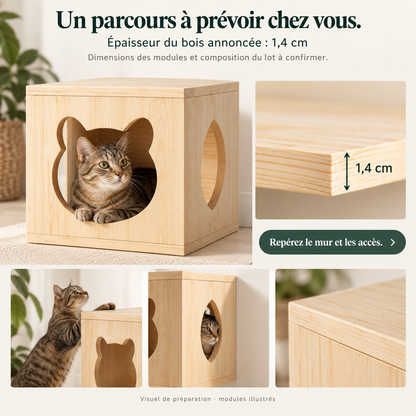 Passerelle : Parcours mural pour chat. Vue du produit