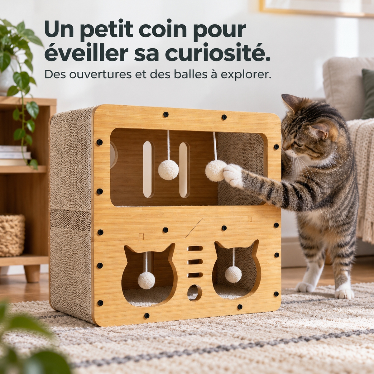 Ludique : Cabane de jeu et griffoir. Présentation en situation