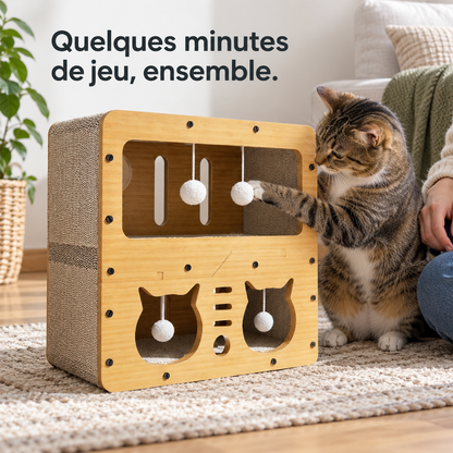 Ludique : Cabane de jeu et griffoir. Exemple d’installation