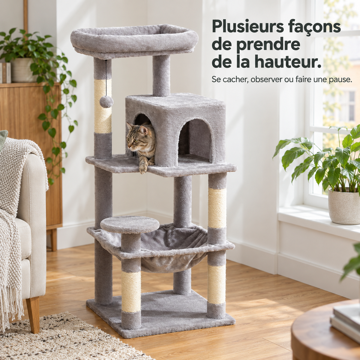 Belvédère Haut : Arbre à chat cinq niveaux. Présentation en situation