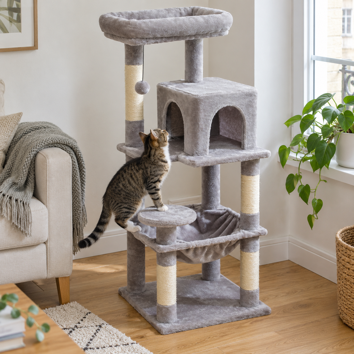 Belvédère Haut : Arbre à chat cinq niveaux. Scène du quotidien