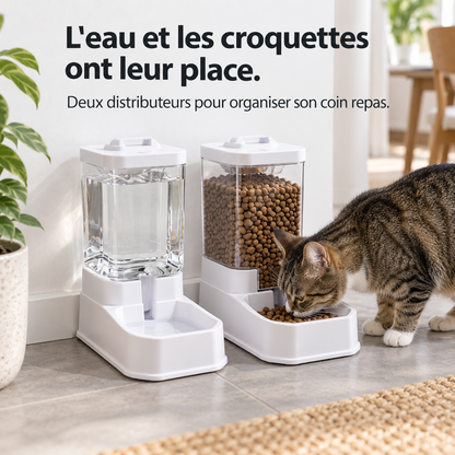 Rituel : Distributeurs d’eau et de croquettes. Présentation en situation