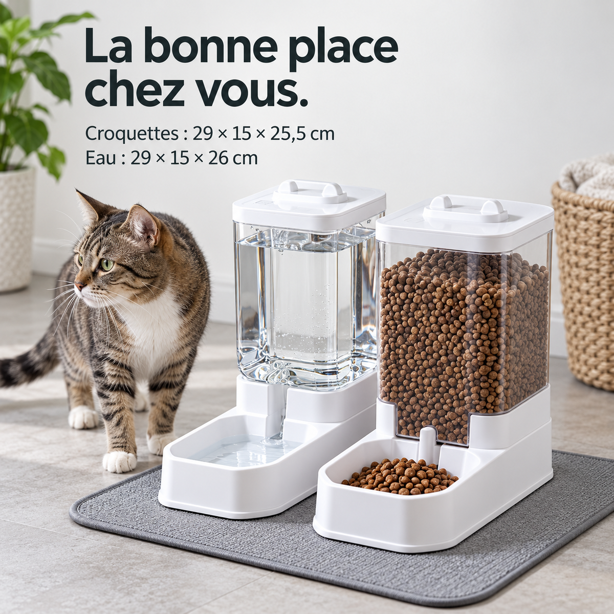 Rituel : Distributeurs d’eau et de croquettes. Dimensions du produit