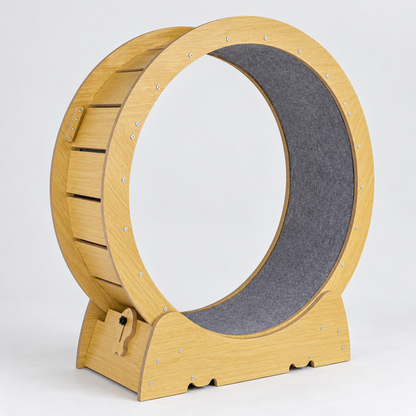 Virage : Roue d’exercice pour chat. Vue d’ensemble