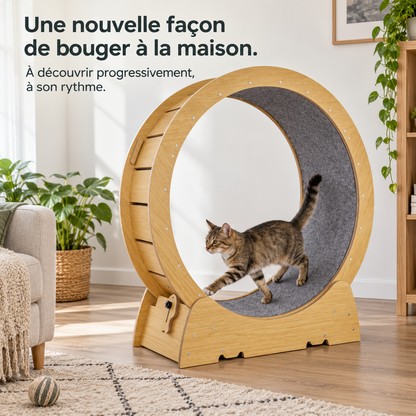 Virage : Roue d’exercice pour chat. Présentation en situation