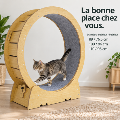 Virage : Roue d’exercice pour chat. Dimensions du produit
