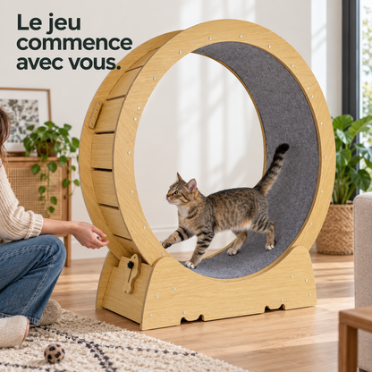 Virage : Roue d’exercice pour chat. Exemple d’installation