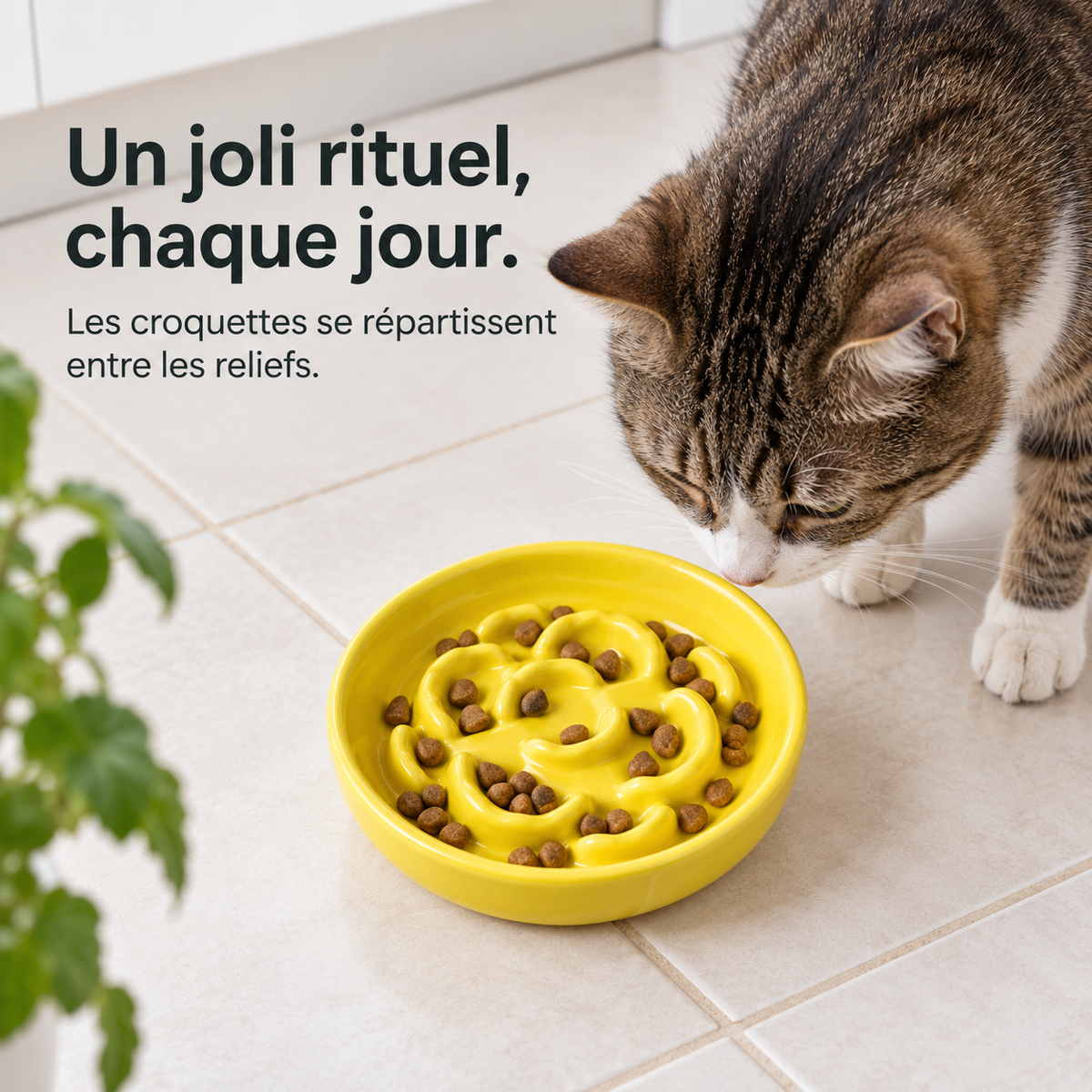 Corolle : Gamelle en céramique à relief. Présentation en situation