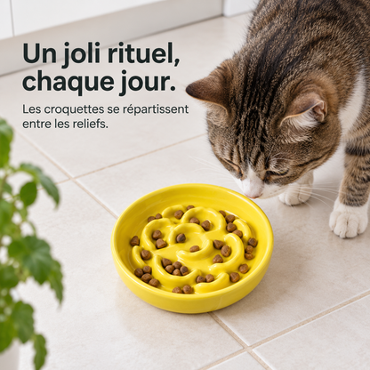 Corolle : Gamelle en céramique à relief. Présentation en situation