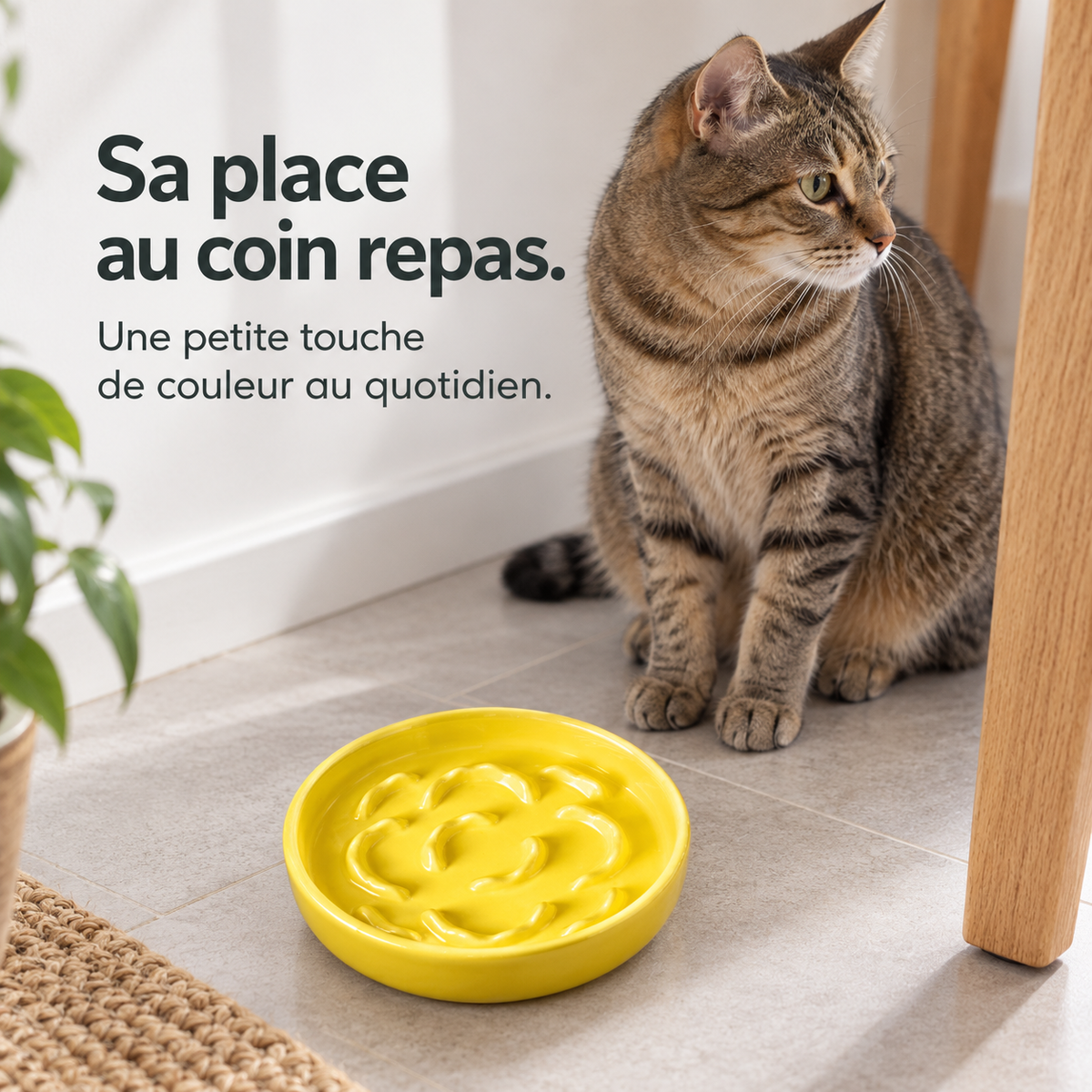 Corolle : Gamelle en céramique à relief. Exemple d’installation