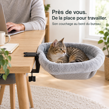 Complice : Lit de bureau pliable pour chat. Présentation en situation