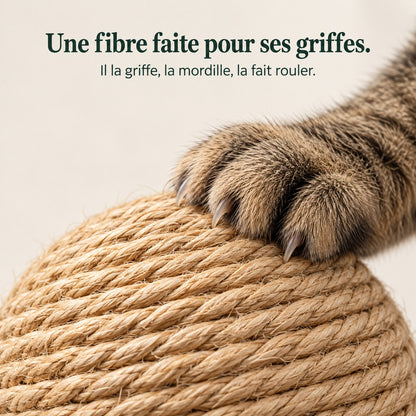 Une fibre faite pour ses griffes : détail de la corde de sisal